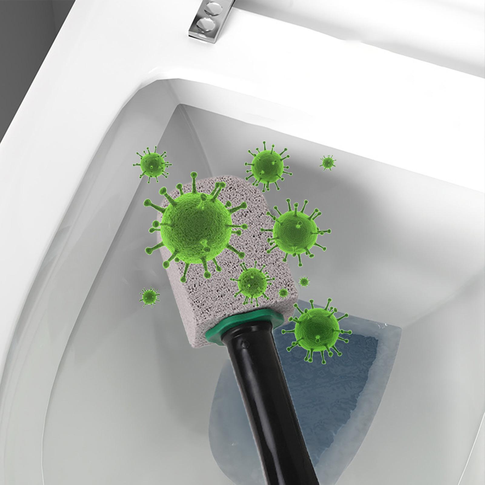 Pumice Stones With Long Handle - Home Bathroom Sink ulasan dan harga